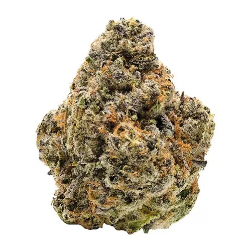 Notorious THC