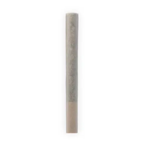 CBD Lemon Lift image 2