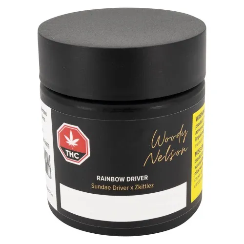 Rainbow Driver Craft image 2