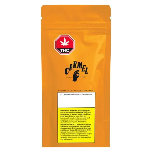 Animal Face Infused image 2