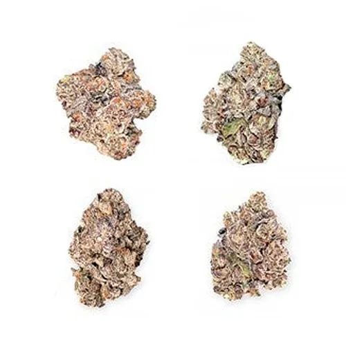 Exotic Craft Collection Pack