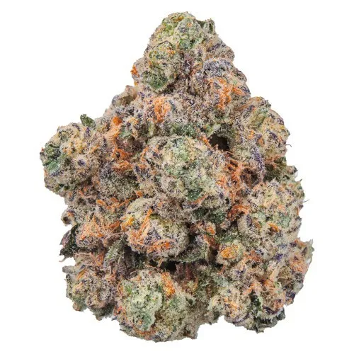 Lobster Royale image 2