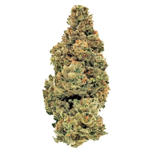GG#4 (Gorilla Glue #4)