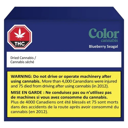 Blueberry Seagal image 2