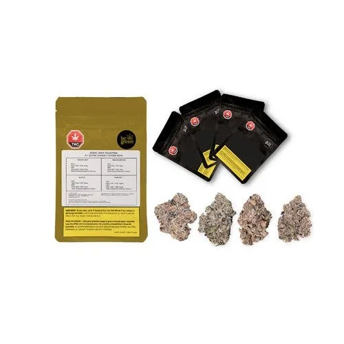 Exotic Craft Collection Pack image 2