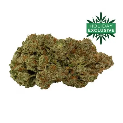 Holiday Taster Pack