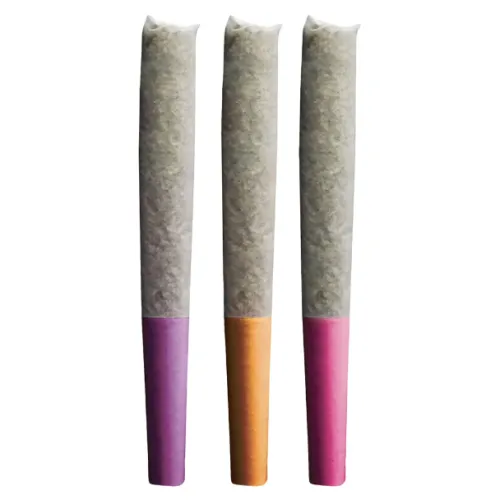 Pink Panties, Orange Tingz & Blackberry Breath image 2