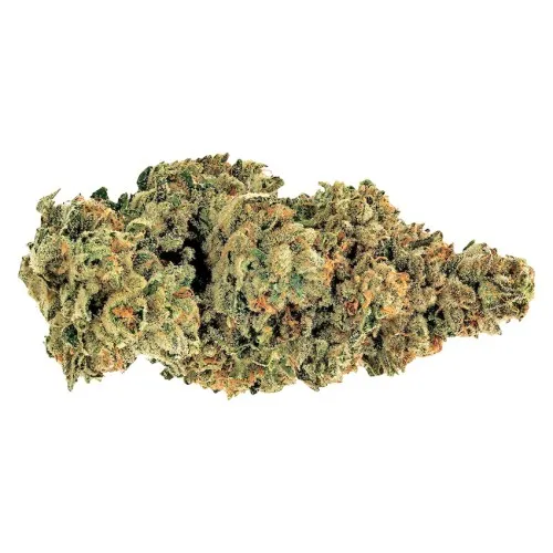 GG#4 (Gorilla Glue #4) image 2
