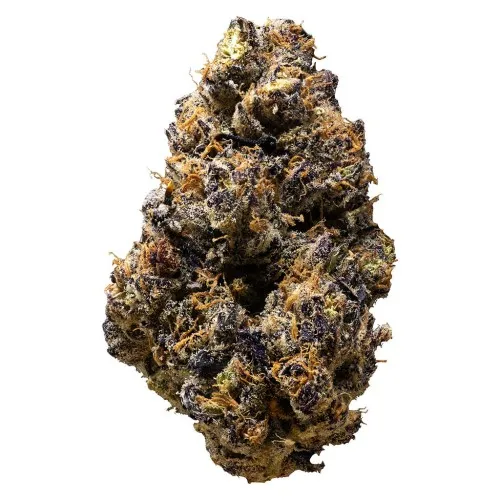 Gold Cash Gold image 3