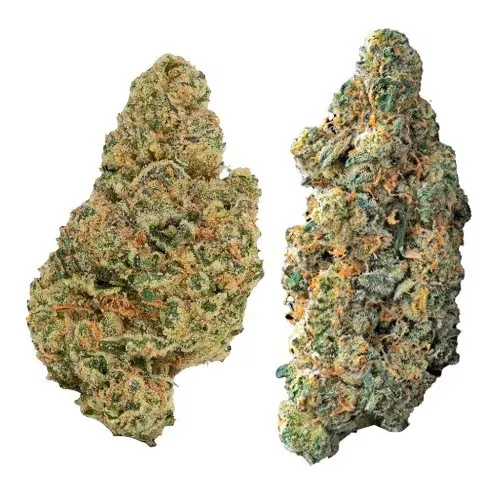 2-in-1 Variety Pack