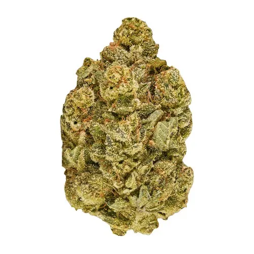 Inzane in the Membrane